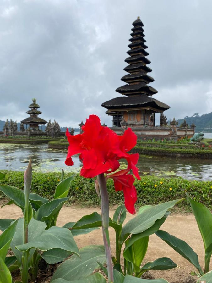 Wina Ubud B&B Exterior foto